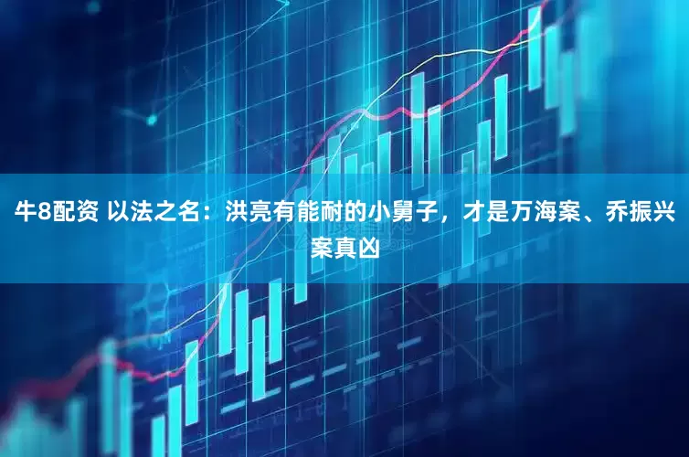 牛8配资 以法之名：洪亮有能耐的小舅子，才是万海案、乔振兴案真凶