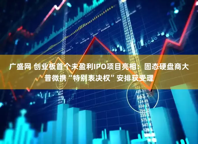 广盛网 创业板首个未盈利IPO项目亮相：固态硬盘商大普微携“特别表决权”安排获受理