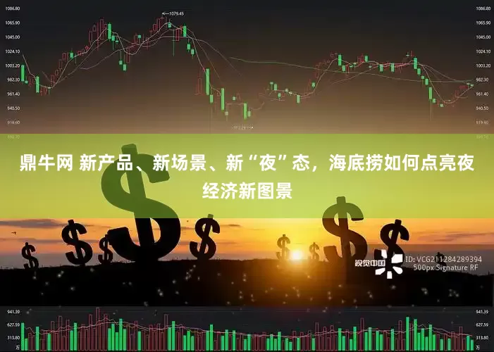 鼎牛网 新产品、新场景、新“夜”态，海底捞如何点亮夜经济新图景