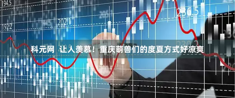 科元网  让人羡慕！重庆萌兽们的度夏方式好凉爽