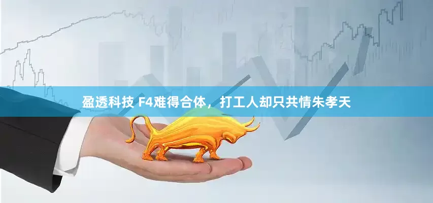 盈透科技 F4难得合体，打工人却只共情朱孝天