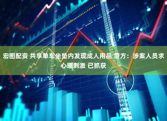 宏图配资 共享单车坐垫内发现成人用品 警方：涉案人员求心理刺激 已抓获